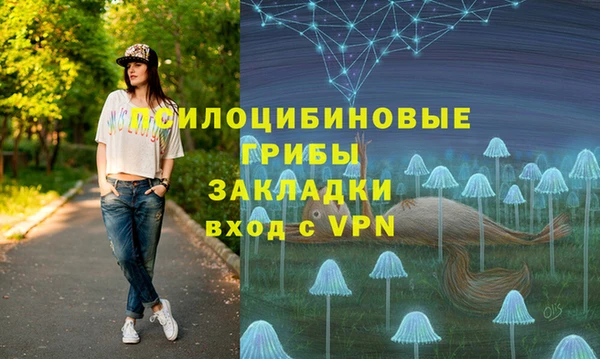 амф Алексеевка