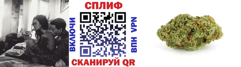 Бошки Шишки индика Жирновск